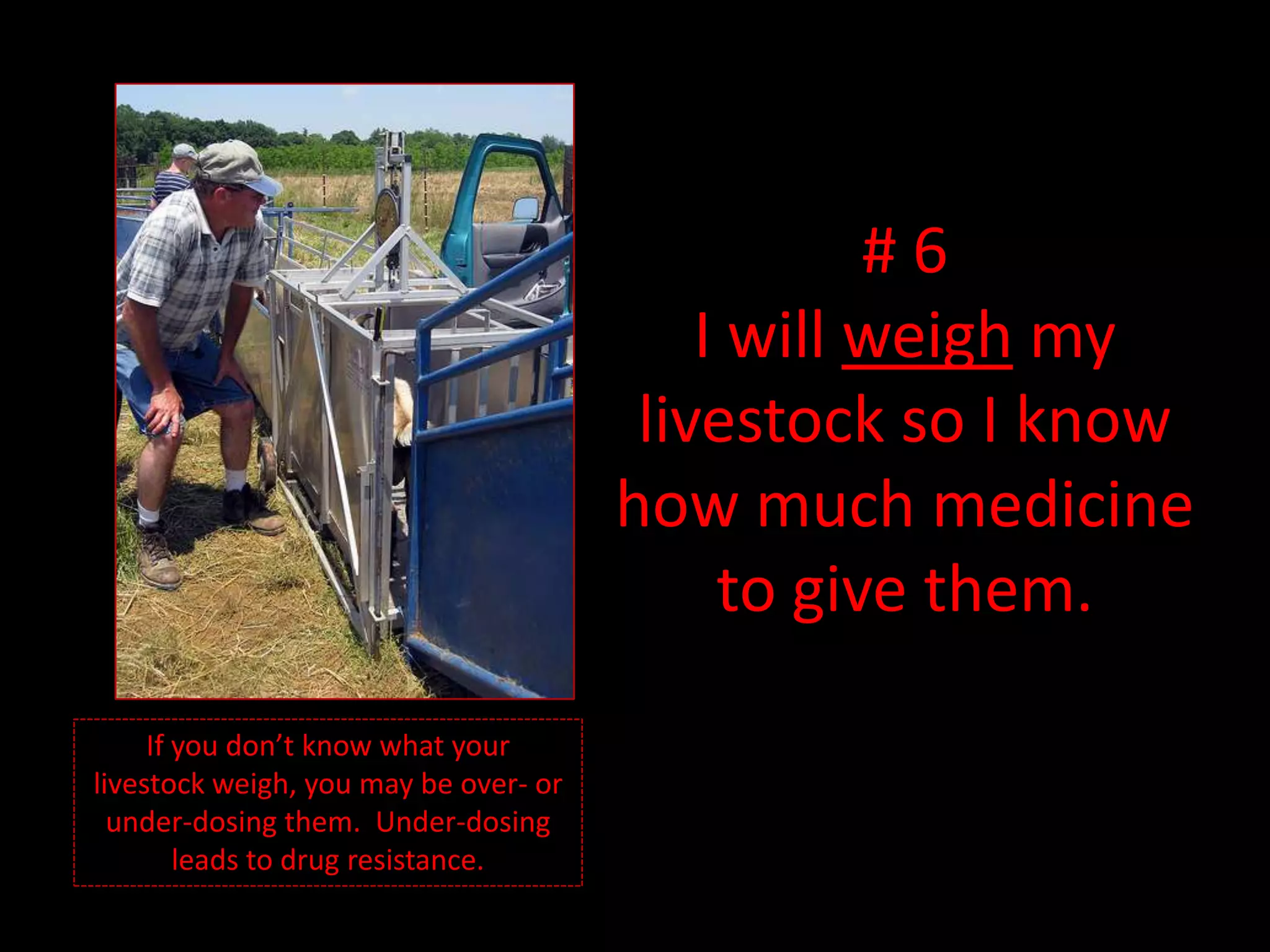 # 6I will weigh my livestock so I know how much medicine to give them. If you don’t know what your livestock weigh, you may be over- or under-dosing them. Under-dosing leads to drug resistance.