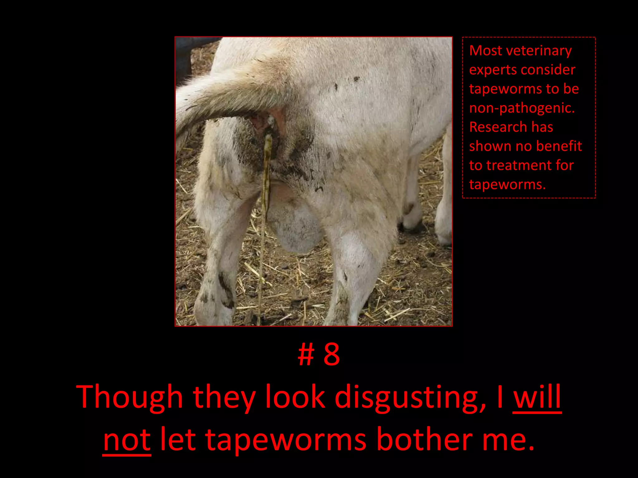 Most veterinary experts consider tapeworms to be non-pathogenic. Research has shown no benefit to treatment for tapeworms.# 8Though they look disgusting, I will not let tapeworms bother me.