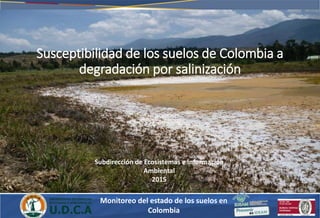 Susceptibilidad de los suelos de Colombia a
degradación por salinización
Monitoreo del estado de los suelos en
Colombia
Subdirección de Ecosistemas e Información
Ambiental
2015
 