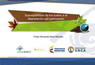 Susceptibilidad de los suelos a la
degradación por salinización
Fredy Hernando Neira Méndez
 