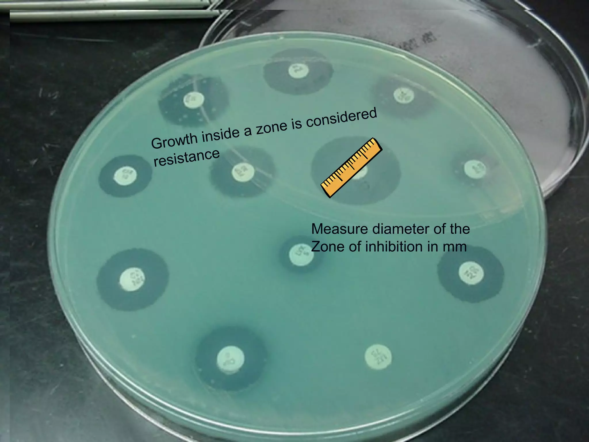 Kirby Bauer
Disk Diffusion
Measure diameter in mm– across center of the
Disk – for each antibiotic disk
Colonies growing into zones is considered
Resistant to that antibiotic
Growth inside a zone is considered
resistance
Measure diameter of the
Zone of inhibition in mm
 