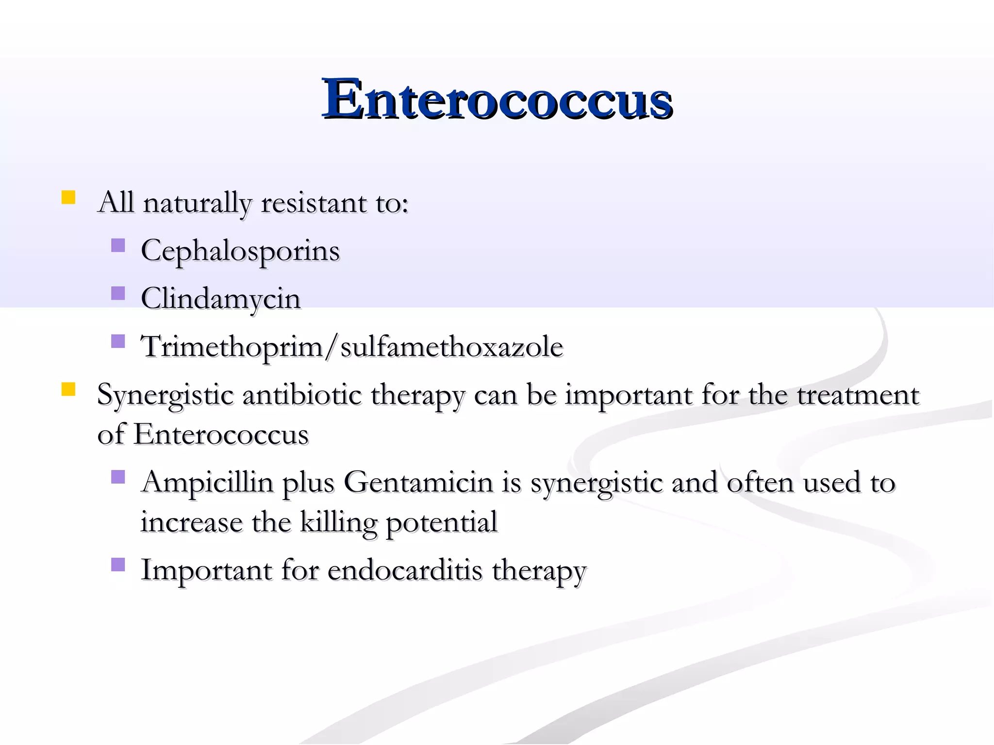 EnterococcusEnterococcus
 All naturally resistant to:All naturally resistant to:
 CephalosporinsCephalosporins
 ClindamycinClindamycin
 Trimethoprim/sulfamethoxazoleTrimethoprim/sulfamethoxazole
 Synergistic antibiotic therapy can be important for the treatmentSynergistic antibiotic therapy can be important for the treatment
of Enterococcusof Enterococcus
 Ampicillin plus Gentamicin is synergistic and often used toAmpicillin plus Gentamicin is synergistic and often used to
increase the killing potentialincrease the killing potential
 Important for endocarditis therapyImportant for endocarditis therapy
 