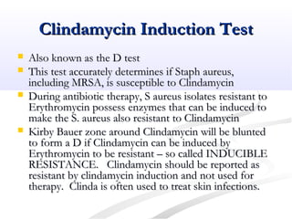 Clindamycin Induction TestClindamycin Induction Test
 Also known as the D testAlso known as the D test
 This test accurately determines if Staph aureus,This test accurately determines if Staph aureus,
including MRSA, is susceptible to Clindamycinincluding MRSA, is susceptible to Clindamycin
 During antibiotic therapy, S aureus isolates resistant toDuring antibiotic therapy, S aureus isolates resistant to
Erythromycin possess enzymes that can be induced toErythromycin possess enzymes that can be induced to
make the S. aureus also resistant to Clindamycinmake the S. aureus also resistant to Clindamycin
 Kirby Bauer zone around Clindamycin will be bluntedKirby Bauer zone around Clindamycin will be blunted
to form a D if Clindamycin can be induced byto form a D if Clindamycin can be induced by
Erythromycin to be resistant – so called INDUCIBLEErythromycin to be resistant – so called INDUCIBLE
RESISTANCE. Clindamycin should be reported asRESISTANCE. Clindamycin should be reported as
resistant by clindamycin induction and not used forresistant by clindamycin induction and not used for
therapy. Clinda is often used to treat skin infections.therapy. Clinda is often used to treat skin infections.
 