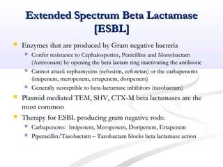 Extended Spectrum Beta LactamaseExtended Spectrum Beta Lactamase
[ESBL][ESBL]
 Enzymes that are produced by Gram negative bacteriaEnzymes that are produced by Gram negative bacteria
 Confer resistance to Cephalosporins, Penicillins and MonobactamConfer resistance to Cephalosporins, Penicillins and Monobactam
(Aztreonam) by opening the beta lactam ring inactivating the antibiotic(Aztreonam) by opening the beta lactam ring inactivating the antibiotic
 Cannot attack cephamycins (cefoxitin, cefotetan) or the carbapenemsCannot attack cephamycins (cefoxitin, cefotetan) or the carbapenems
(imipenem, meropenem, ertapenem, doripenem)(imipenem, meropenem, ertapenem, doripenem)
 Generally susceptible to beta-lactamase inhibitors (tazobactam)Generally susceptible to beta-lactamase inhibitors (tazobactam)
 Plasmid mediated TEM, SHV, CTX-M beta lactamases are thePlasmid mediated TEM, SHV, CTX-M beta lactamases are the
most commonmost common
 Therapy for ESBL producing gram negative rods:Therapy for ESBL producing gram negative rods:
 Carbapenems: Imipenem, Meropenem, Doripenem, ErtapenemCarbapenems: Imipenem, Meropenem, Doripenem, Ertapenem
 Piperacillin/Tazobactam – Tazobactam blocks beta lactamase actionPiperacillin/Tazobactam – Tazobactam blocks beta lactamase action
 