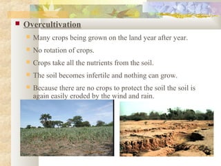  Overcultivation
 Many crops being grown on the land year after year.
 No rotation of crops.
 Crops take all the nutrients from the soil.
 The soil becomes infertile and nothing can grow.
 Because there are no crops to protect the soil the soil is
again easily eroded by the wind and rain.
 
