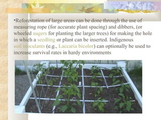 •Reforestation of large areas can be done through the use of
measuring rope (for accurate plant spacing) and dibbers, (or
wheeled augers for planting the larger trees) for making the hole
in which a seedling or plant can be inserted. Indigenous
soil inoculants (e.g., Laccaria bicolor) can optionally be used to
increase survival rates in hardy environments
 