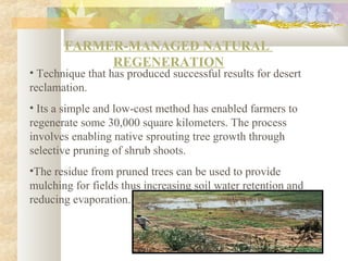 FARMER-MANAGED NATURAL
REGENERATION
• Technique that has produced successful results for desert
reclamation.
• Its a simple and low-cost method has enabled farmers to
regenerate some 30,000 square kilometers. The process
involves enabling native sprouting tree growth through
selective pruning of shrub shoots.
•The residue from pruned trees can be used to provide
mulching for fields thus increasing soil water retention and
reducing evaporation.
 