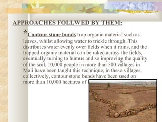 APPROACHES FOLLWED BY THEM:
*Contour stone bunds trap organic material such as
leaves, whilst allowing water to trickle through. This
distributes water evenly over fields when it rains, and the
trapped organic material can be raked across the fields,
eventually turning to humus and so improving the quality
of the soil. 10,000 people in more than 500 villages in
Mali have been taught this technique, in these villages,
collectively, contour stone bunds have been used on
more than 10,000 hectares of land.
 