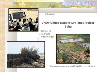 UNDP United Nations Dry lands Project -
Sahel
Education
Barriers to
stop wind
erosion of soil
Sustainable planting and irrigation techniques
 