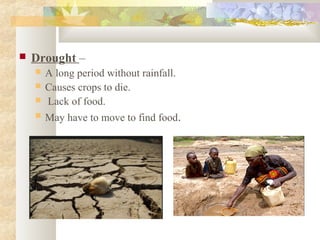  Drought –
 A long period without rainfall.
 Causes crops to die.
 Lack of food.
 May have to move to find food.
 