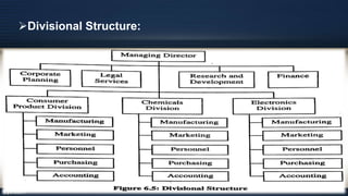Divisional Structure:
 