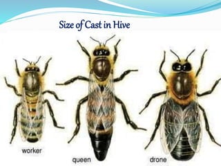 Size of Cast in Hive
 