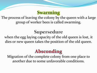 The process of leaving the colony by the queen with a large
group of worker bees is called swarming.
when the egg laying capacity of the old queen is lost, it
dies or new queen takes the position of the old queen.
Migration of the complete colony from one place to
another due to some unfavorable conditions.
 
