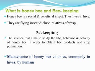  Honey bee is a social & beneficial insect. They lives in hive.
 They are flying insect & close relatives of wasp.
Beekeeping
The science that aims to study the life, behavior & activity
of honey bee in order to obtain bee products and crop
pollination.
Maintenance of honey bee colonies, commonly in
hives, by humans.
 