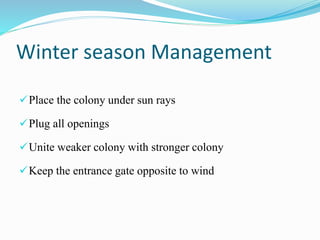Winter season Management
Place the colony under sun rays
Plug all openings
Unite weaker colony with stronger colony
Keep the entrance gate opposite to wind
 