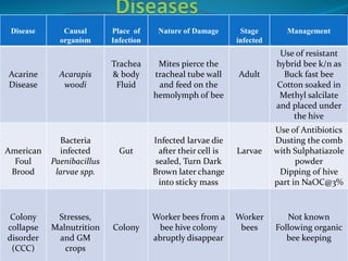 Apiculture | PPTX