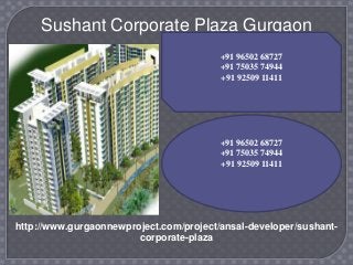 Sushant Corporate Plaza Gurgaon
+91 96502 68727
+91 75035 74944
+91 92509 11411

+91 96502 68727
+91 75035 74944
+91 92509 11411

http://www.gurgaonnewproject.com/project/ansal-developer/sushantcorporate-plaza

 