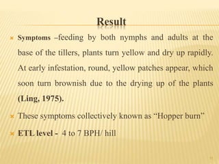 efficacy of insecticides and biopesticides against Rice BPH | PPTX