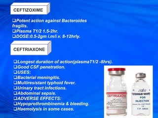 Potent action against Bacteroides
fragilis.
Plasma T1/2 1.5-2hr.
DOSE:0.5-2gm i.m/i.v. 8-12hrly.
Longest duration of action(plasmaT1/2 -8hrs).
Good CSF penetration.
USES:
Bacterial meningitis.
Multiresistant typhoid fever.
Urinary tract infections.
Abdominal sepsis.
ADVERSE EFFECTS:
Hypoprothrombinemia & bleeding.
Haemolysis in some cases.
CEFTIZOXIME
CEFTRIAXONE
 