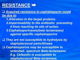 RESISTANCE
 Acquired resistance to cephalosporin could
be due to:
1.Alteration in the target proteins.
2.Impermeability to the antibiotic preventing
it from reaching its site of action.
3.Cephalosporinases(beta lactamases)
against specific cephalosporins
 They are not susceptible to hydrolysis by
staphylococcal penicillinase.
 Cephalosporins may be susceptible to
extended- spectrum Beta-lactamases.
E.g. Cefazolin is susceptible to
staphylococcal Beta-lactamase.
 