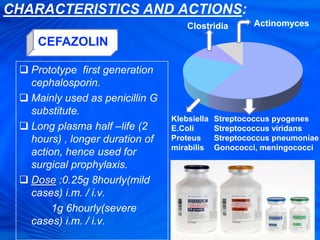 CHARACTERISTICS AND ACTIONS:
 Prototype first generation
cephalosporin.
 Mainly used as penicillin G
substitute.
 Long plasma half –life (2
hours) , longer duration of
action, hence used for
surgical prophylaxis.
 Dose :0.25g 8hourly(mild
cases) i.m. / i.v.
1g 6hourly(severe
cases) i.m. / i.v.
CEFAZOLIN
Streptococcus pyogenes
Streptococcus viridans
Streptococcus pneumoniae
Gonococci, meningococci
Klebsiella
E.Coli
Proteus
mirabilis
ActinomycesClostridia
 