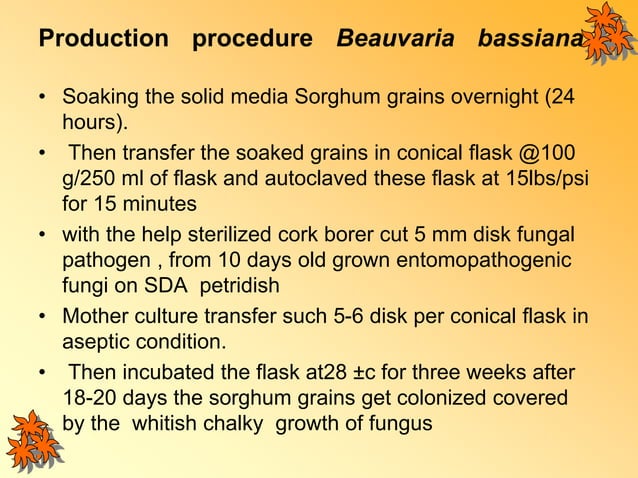 Curated visual reference: Fresh Look at Mass Production Of Beauveria Basiana And Metarahizum