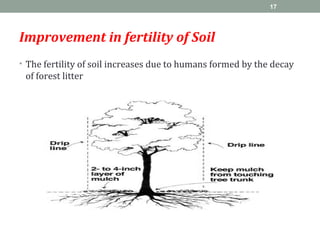 Improvement in fertility of Soil
• The fertility of soil increases due to humans formed by the decay
of forest litter
17
 