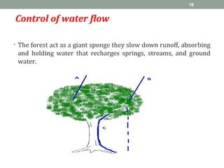 Control of water flow
• The forest act as a giant sponge they slow down runoff, absorbing
and holding water that recharges springs, streams, and ground
water.
18
 