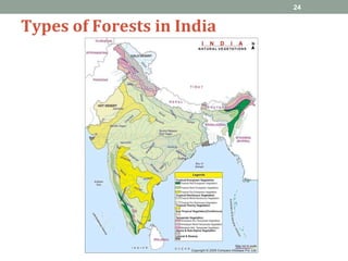 Types of Forests in India
24
 
