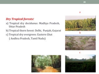Dry Tropical forests:
a) Tropical dry deciduous: Madhya Pradesh,
Uttar Pradesh
b) Tropical thorn forest: Delhi, Punjab, Gujarat
c) Tropical dry evergreen: Eastern Ghat
( Andhra Pradesh, Tamil Nadu)
26
a
b
c
 