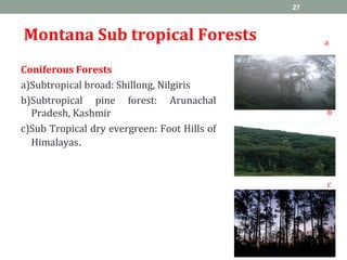 Montana Sub tropical Forests
Coniferous Forests
a)Subtropical broad: Shillong, Nilgiris
b)Subtropical pine forest: Arunachal
Pradesh, Kashmir
c)Sub Tropical dry evergreen: Foot Hills of
Himalayas.
27
a
b
c
 