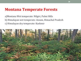 Montana Temperate Forests
a)Montana Wet temperate: Nilgiri, Palmi Hills
b) Himalayan wet temperate: Assam, Himachal Pradesh
c) Himalayan dry temperate: Kashmir
28
 