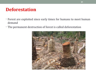 Deforestation
• Forest are exploited since early times for humans to meet human
demand
• The permanent destruction of forest is called deforestation
31
 