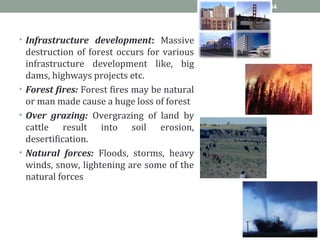 • Infrastructure development: Massive
destruction of forest occurs for various
infrastructure development like, big
dams, highways projects etc.
• Forest fires: Forest fires may be natural
or man made cause a huge loss of forest
• Over grazing: Overgrazing of land by
cattle result into soil erosion,
desertification.
• Natural forces: Floods, storms, heavy
winds, snow, lightening are some of the
natural forces
34
 
