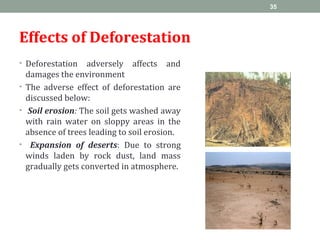 Effects of Deforestation
• Deforestation adversely affects and
damages the environment
• The adverse effect of deforestation are
discussed below:
• Soil erosion: The soil gets washed away
with rain water on sloppy areas in the
absence of trees leading to soil erosion.
• Expansion of deserts: Due to strong
winds laden by rock dust, land mass
gradually gets converted in atmosphere.
35
 