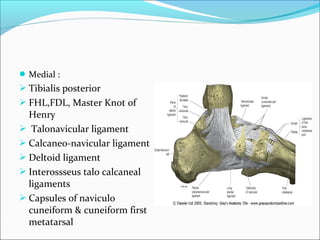  Medial :
 Tibialis posterior
 FHL,FDL, Master Knot of
  Henry
 Talonavicular ligament
 Calcaneo-navicular ligament
 Deltoid ligament
 Interossseus talo calcaneal
  ligaments
 Capsules of naviculo
  cuneiform & cuneiform first
  metatarsal
 