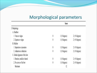 Morphological parameters
 