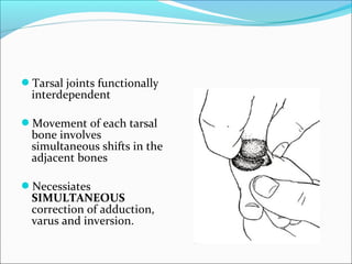 Tarsal joints functionally
  interdependent

Movement of each tarsal
  bone involves
  simultaneous shifts in the
  adjacent bones

Necessiates
  SIMULTANEOUS
  correction of adduction,
  varus and inversion.
 