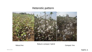 heterosis new insights into old topic by revisiting the magic of ...