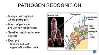 Immunology | PPTX