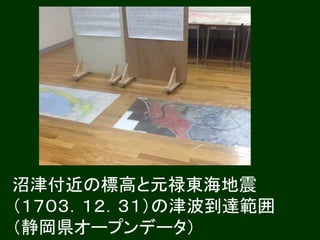 沼津付近の標高と元禄東海地震 
（１７０３．１２．３１）の津波到達範囲 
（静岡県オープンデータ） 
 