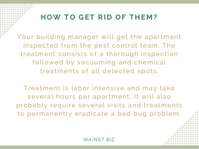 Apartment Building Has Bed Bugs delighful apartment building bed bugs hiding places r for design Apartment Building Has Bed Bugs delighful apartment building bed bugs hiding places r for design
