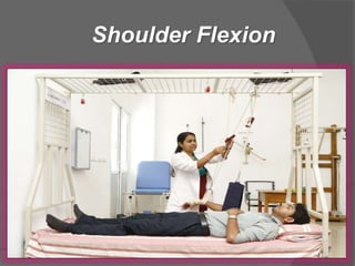 Shoulder Flexion
 