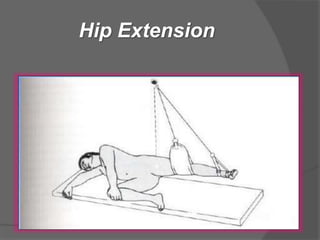 Hip Extension
 