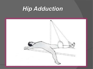 Hip Adduction
 