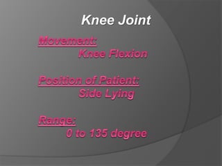 Knee Joint
 