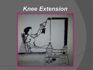 Knee Extension
 