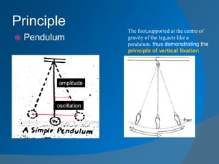 Principle
 Pendulum
amplitude
oscillation
The foot,supported at the centre of
gravity of the leg,acts like a
pendulum. thus demonstrating the
principle of vertical fixation
 