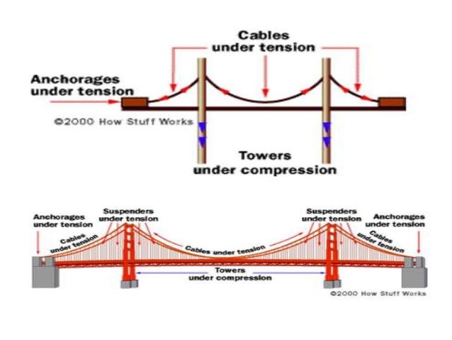 suspension bridge diagram golden gate bridge diagram great pyramid diagram elsavadorla suspension bridge diagram golden gate bridge diagram great pyramid diagram elsavadorla