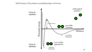 DLVO theory: Flocculation curve/Secondary minimum
Force of
repulsion
Force of
attraction
22
 